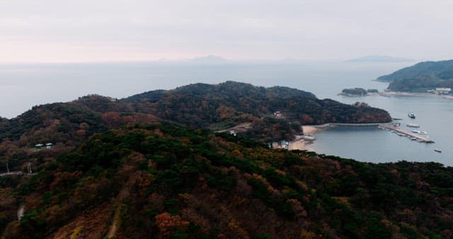 Autumn-Colored Forests and Coastside