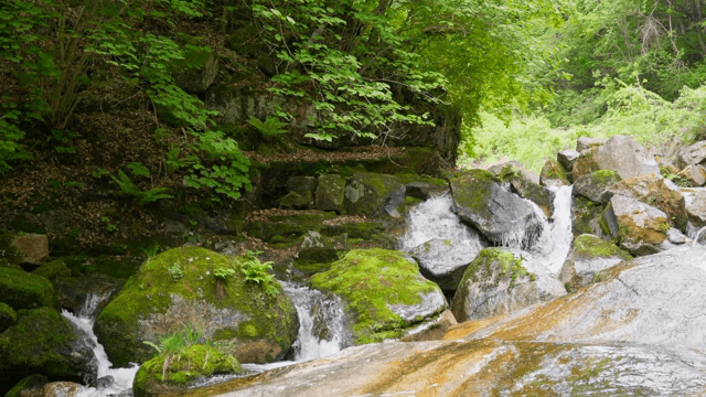 푸른 숲 속의 작은 폭포