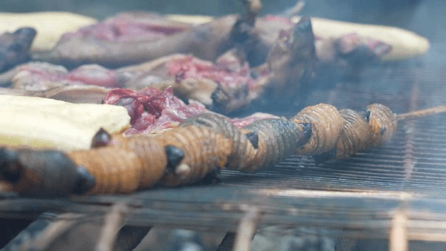 바비큐에서 고기와 애벌레 굽기