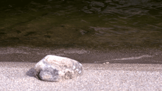 잔잔한 물결이 이는 강가