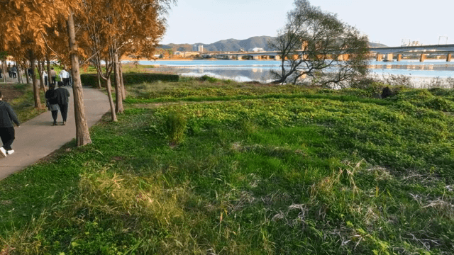 호숫가 산책로를 걷는 사람들