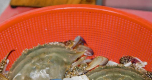 빨간 플라스틱 바구니에 담긴 신선한 게