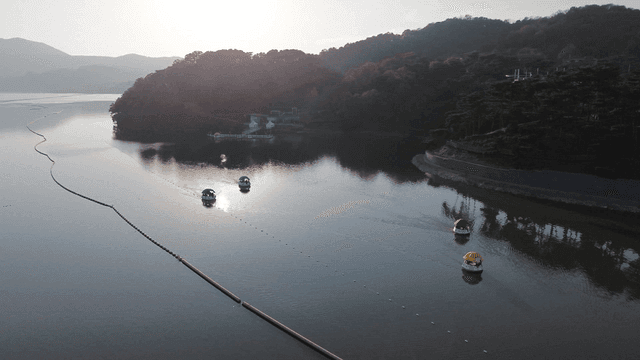 고요한 호수 위의 패들 보트