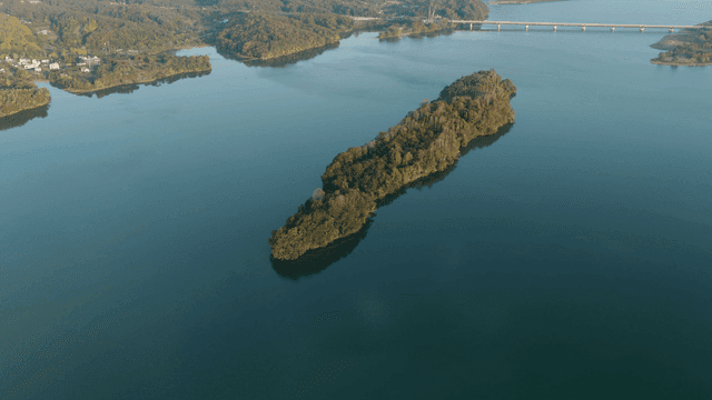 푸른 숲으로 둘러싸인 고요한 강
