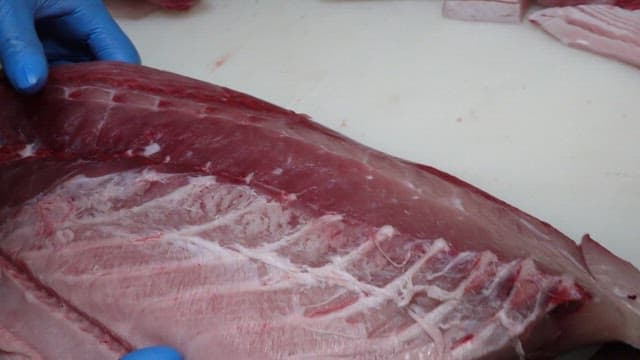 Trimmed yellow tail on a cutting board