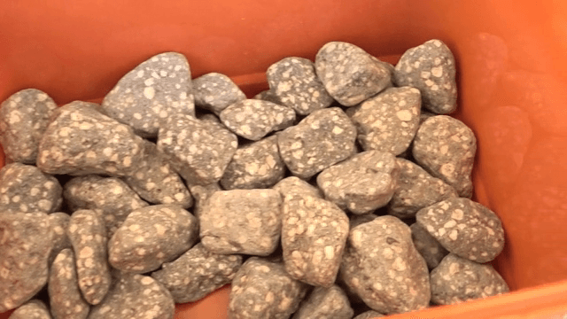 통에 들어있는 하얀 반점 무늬의 돌