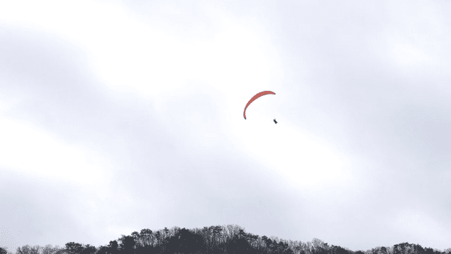 Paraglider flying over wooded hill