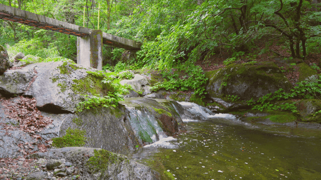 다리 아래로 흐르는 고요한 개울