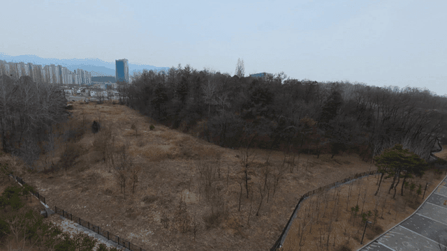Forest area near downtown buildings