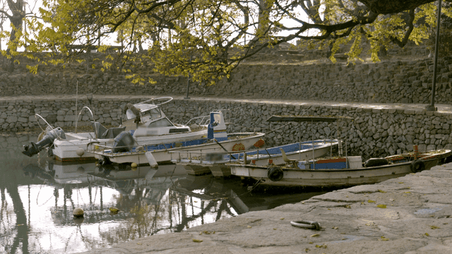 Boats docked by a stone wall under trees