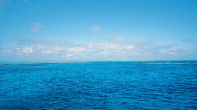 Tranquil Seascape with Clear Blue Skies