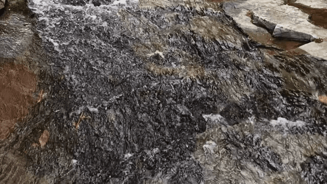 Flowing water over rocks in a stream
