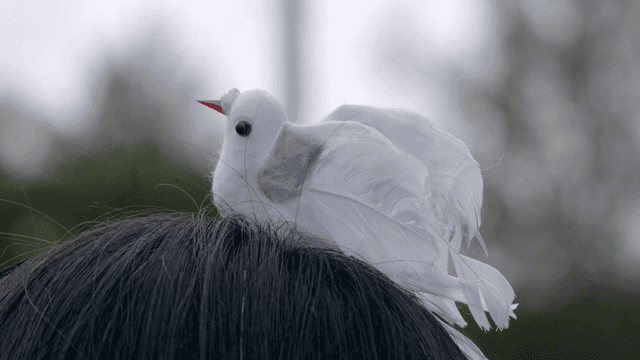 White bird ornament on black hair