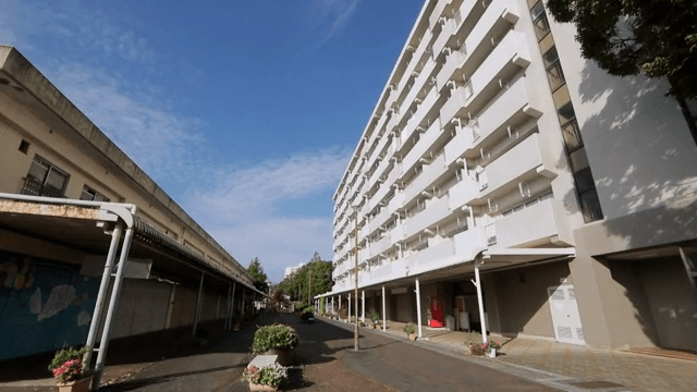 나무가 있는 높은 아파트 건물