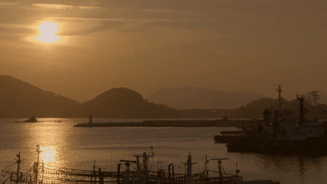Sunset over a calm harbor with ships