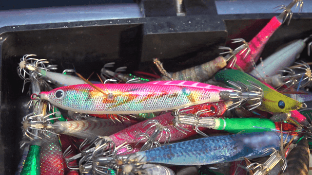 Colorful fishing lures in a tackle box