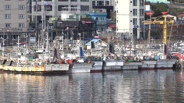 Fishing Boats Moored at a Busy Harbor