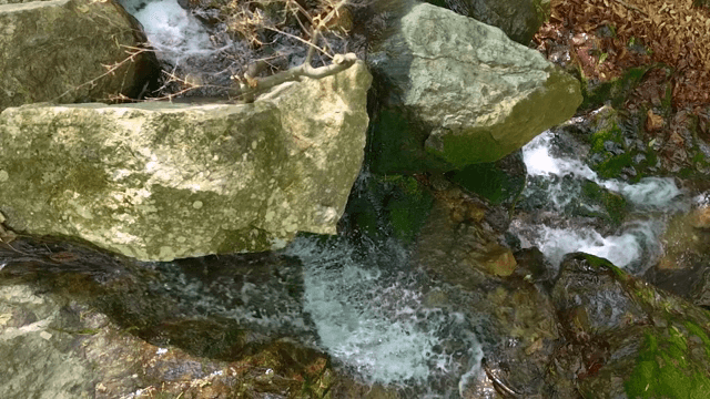 이끼 낀 바위를 흐르는 물