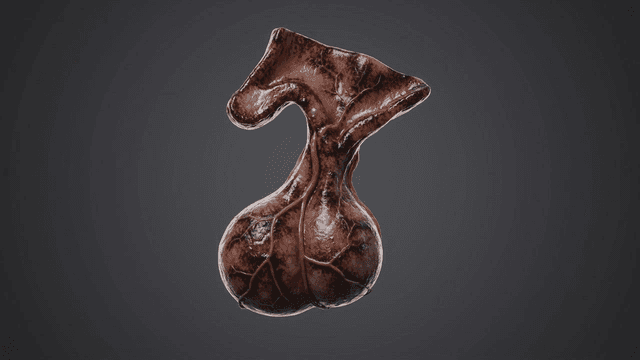 Detailed view of diseased human testicles