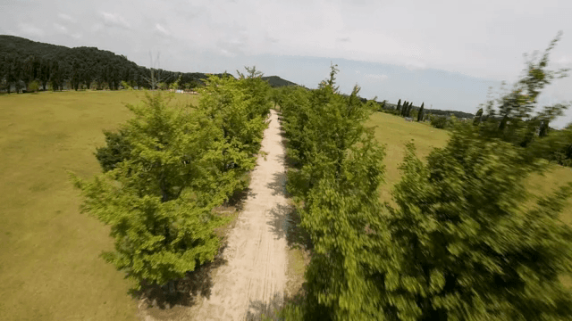 Vast green park with scattered trees