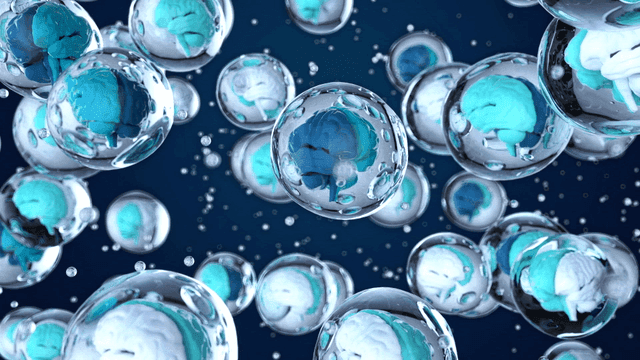 Floating brains in transparent bubbles
