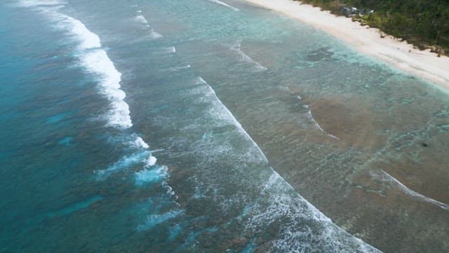 Quiet Shore with Gentle Waves