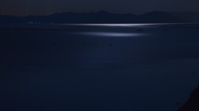 Coastal scenery under the calm night sky