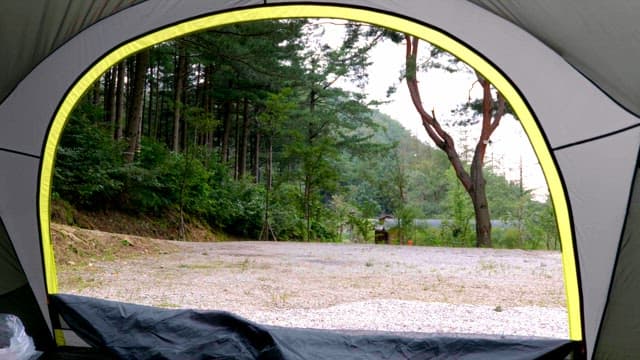 View from inside a tent in a forest