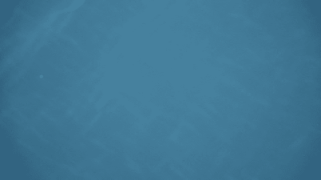 Shoal of fish swimming in clear blue water of calm waves