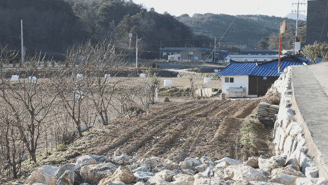 마을 주택 옆 시골 밭