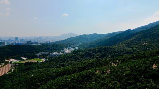 도시 전망을 갖춘 푸른 산