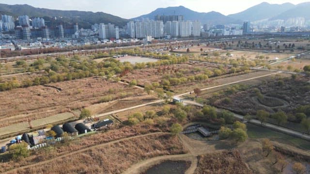 Vast park with cityscape in the background