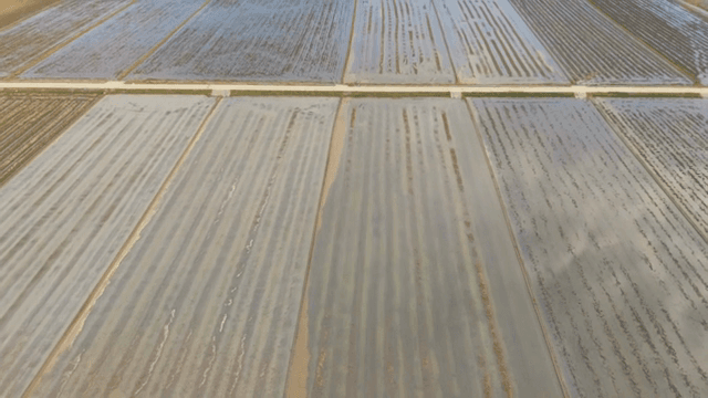 넓은 논의 항공 뷰