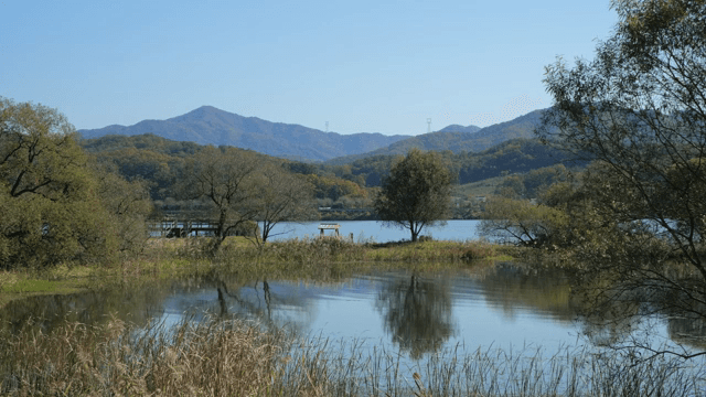 산을 배경으로 한 고요한 호수