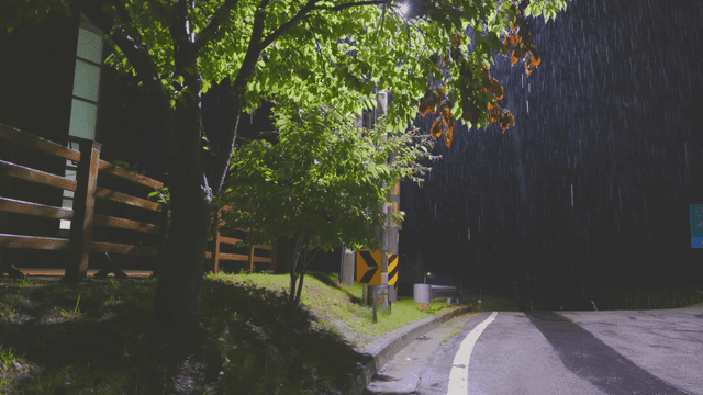 조용한 거리의 비 오는 밤