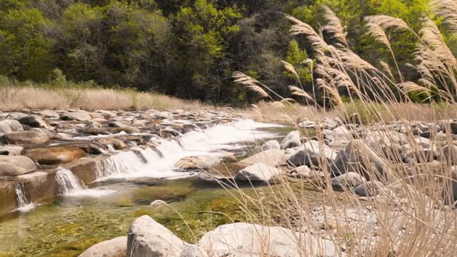 A serene river flowing through rocks