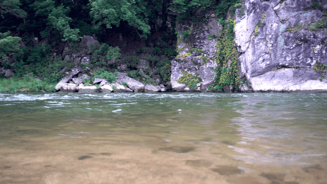 숲을 흐르는 고요한 강