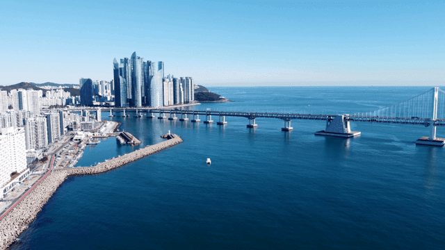 다리와 고층 건물이 있는 해안 도시