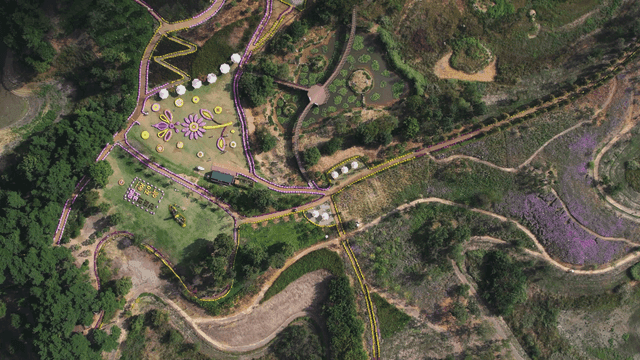 Scenic park with walking paths