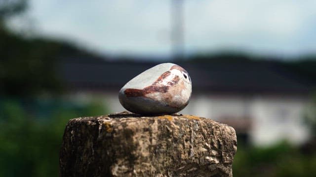 Painted rock on a stone post outdoors during daytime