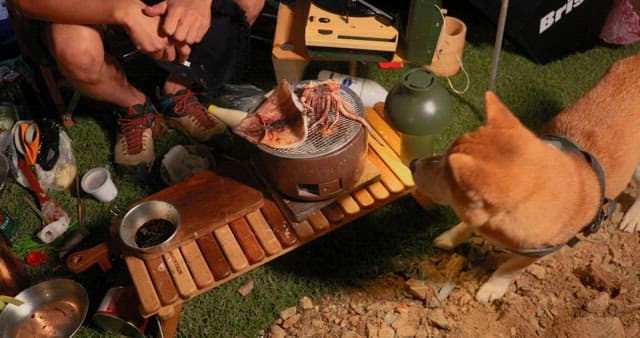 Outdoor Camping Scene with Grilled Squid and Dog