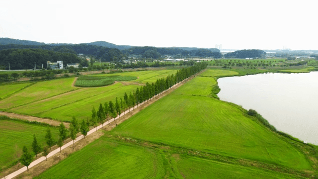 푸른 들판과 나무의 경치