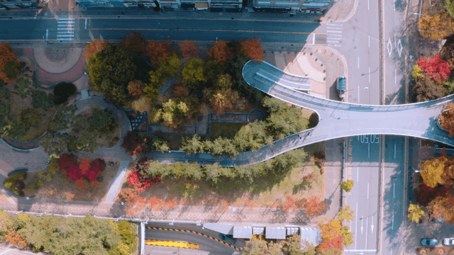 Aerial view of road with autumn foliage