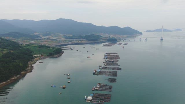 멀리 산이 보이는 해안 양식장