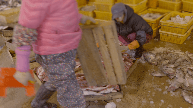 Workers sorting fish in a market
