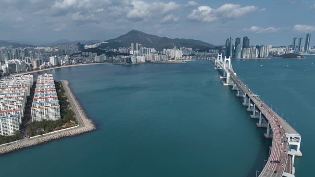 대형 다리가 있는 해안 도시