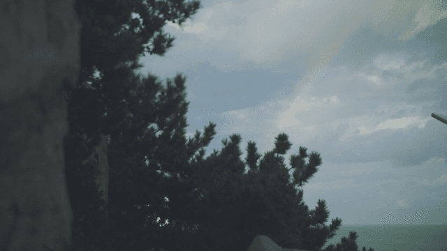 해안 숲 위의 무지개