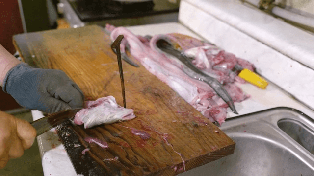 도마 위에서 손질하는 장어