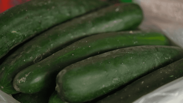 신선한 오이들이 쌓여 있는 모습