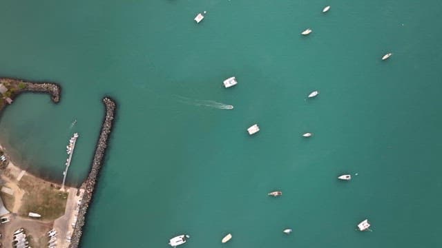 고요한 바다에 떠 있는 요트들